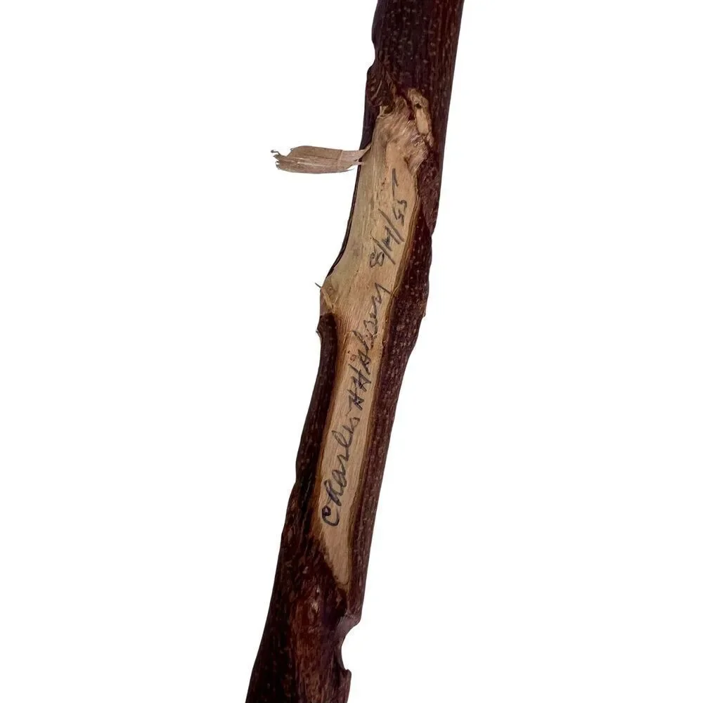Vintage Antique STRAW HEARTH Cobweb BROOM Hand Made Wood Handle Signed EC